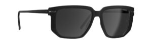 Silhouette 4093